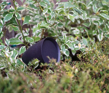 Do not forget the speaker Stylish Ways To Elevate Backyard Movie Night For Enjoyable Space