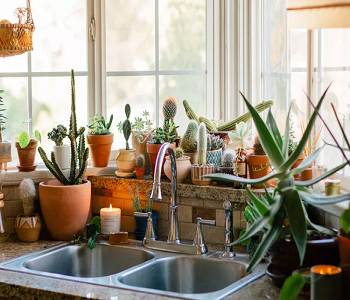 Dress your sink Organizational Tips To Keep Kitchen Sink Clean, Tidy, And Beauty Every Day
