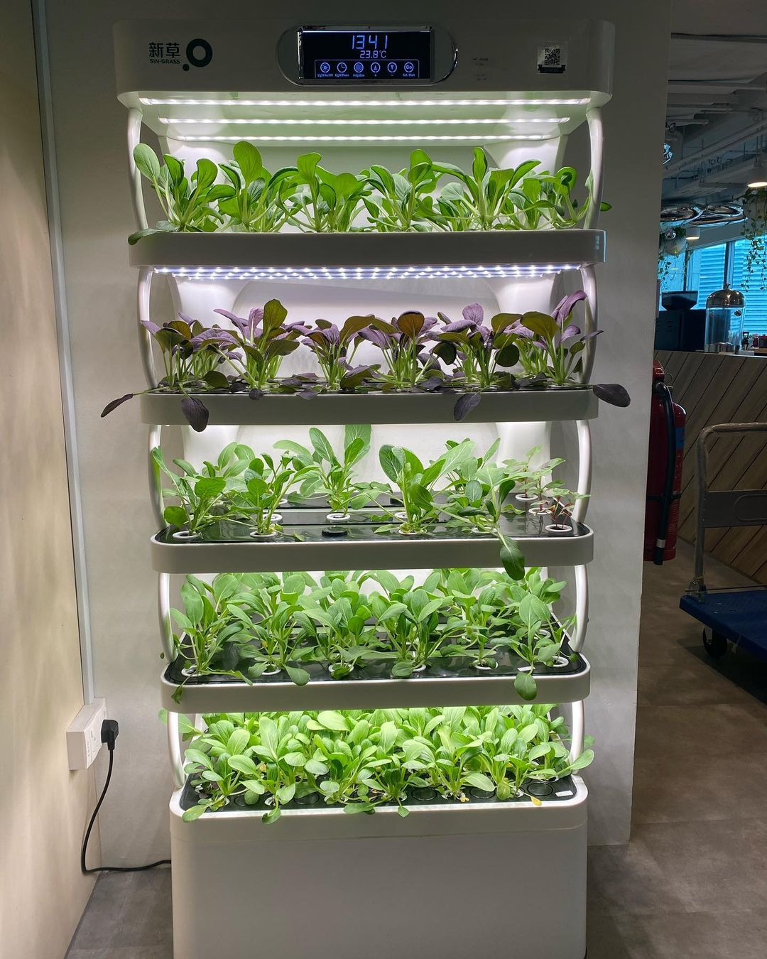 How to have indoor hydroponic garden in your home (14)