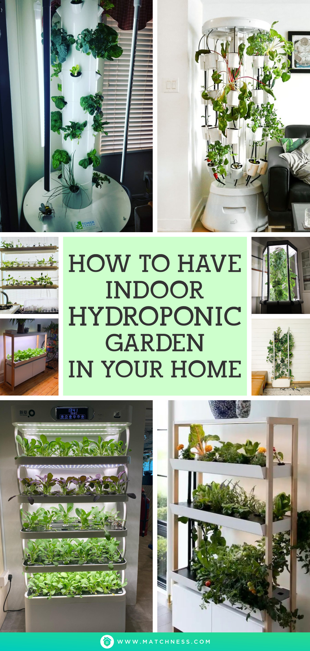 How to have indoor hydroponic garden in your home1
