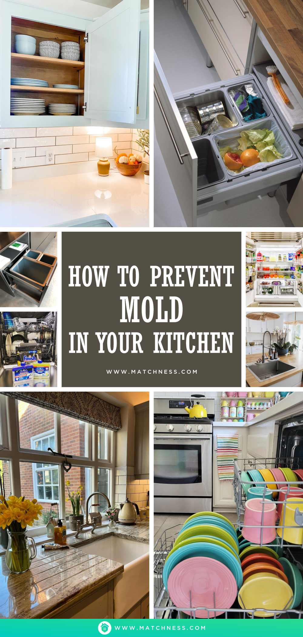 How to prevent mold in your kitchen1