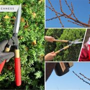Pruning shears choosing the right pruning shears for your garden2