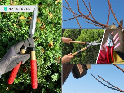 Pruning shears choosing the right pruning shears for your garden2
