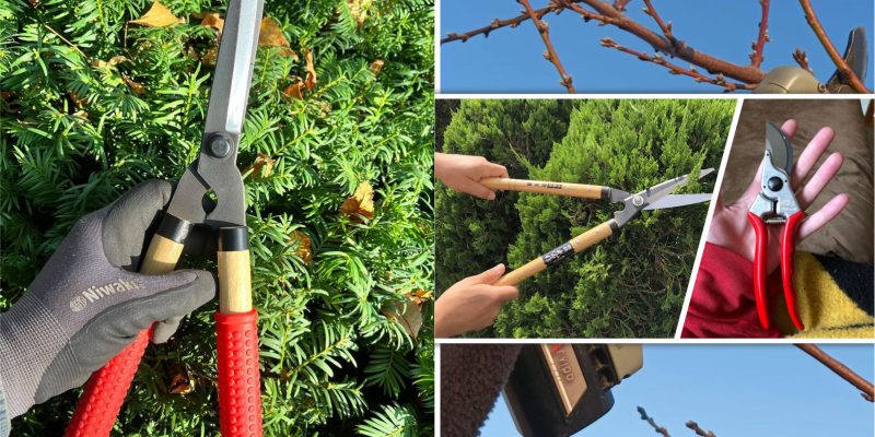 Pruning shears choosing the right pruning shears for your garden2