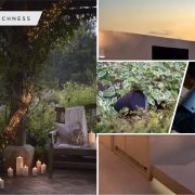Stylish ways to elevate backyard movie night for enjoyable space2