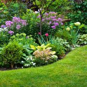 Lush landscaped garden with flowerbed and colorful plants