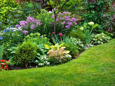 Lush landscaped garden with flowerbed and colorful plants