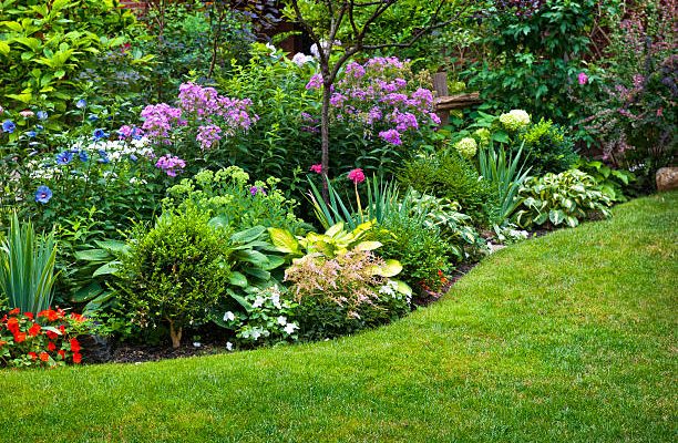 Lush landscaped garden with flowerbed and colorful plants