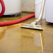 Cleaning up a blooded basement. narrow depth of field.