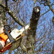 Gardener working in the garden during springtime. petrol chainsaw in male hands