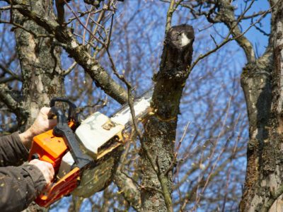 Gardener working in the garden during springtime. petrol chainsaw in male hands