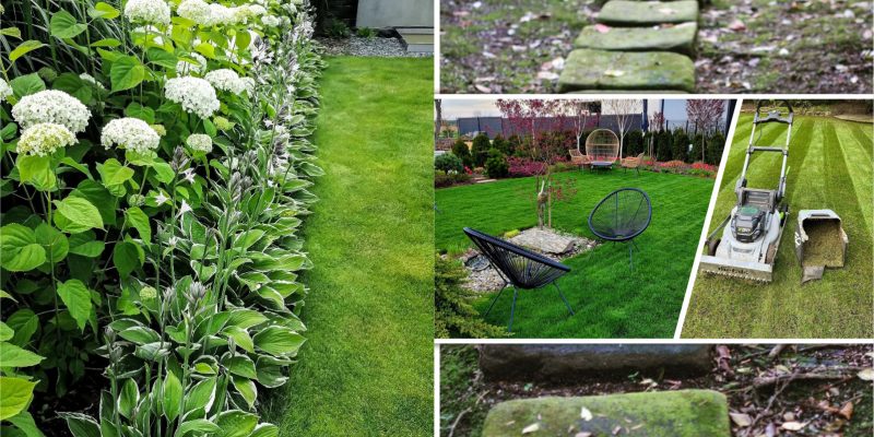 21 lawn ideas the designs and maintenance2