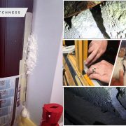22 how to deal with pest control using diy projects2