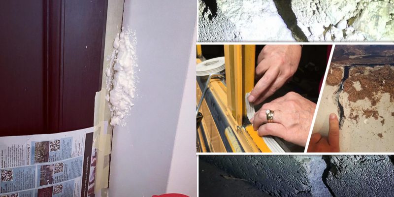 22 how to deal with pest control using diy projects2