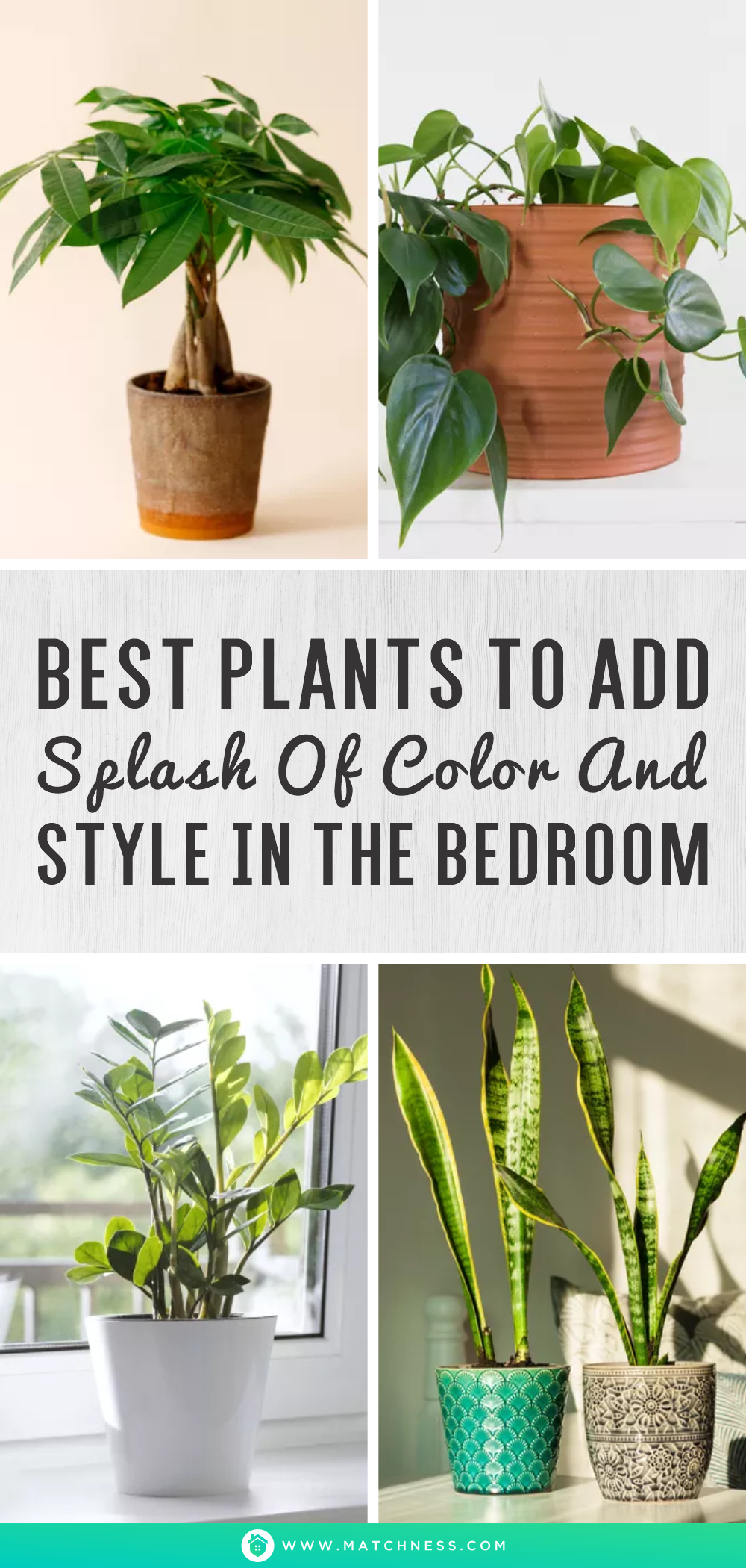 Best plants to add splash of color and style in the bedroom1