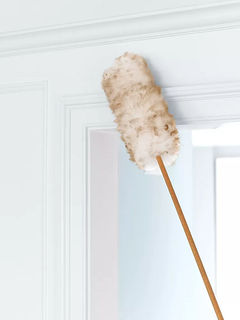 Dust the ceilings and walls Genius Spring Cleaning Shortcut To Do With Time-Saving Style