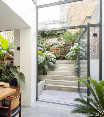 Exotic plants Ways To Make A Backyard Look More Expensive Without Having To Flash The Cash
