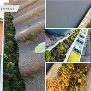 Gutter cleaning tips to do it yourself2
