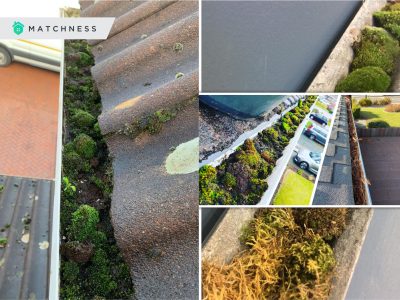 Gutter cleaning tips to do it yourself2