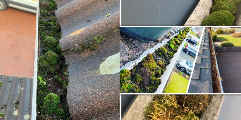 Gutter cleaning tips to do it yourself2