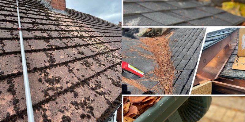 Home maintenance spring roof maintenance tips2
