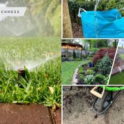 How to prepare your garden this spring2