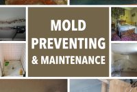 Mold preventing & maintenance1