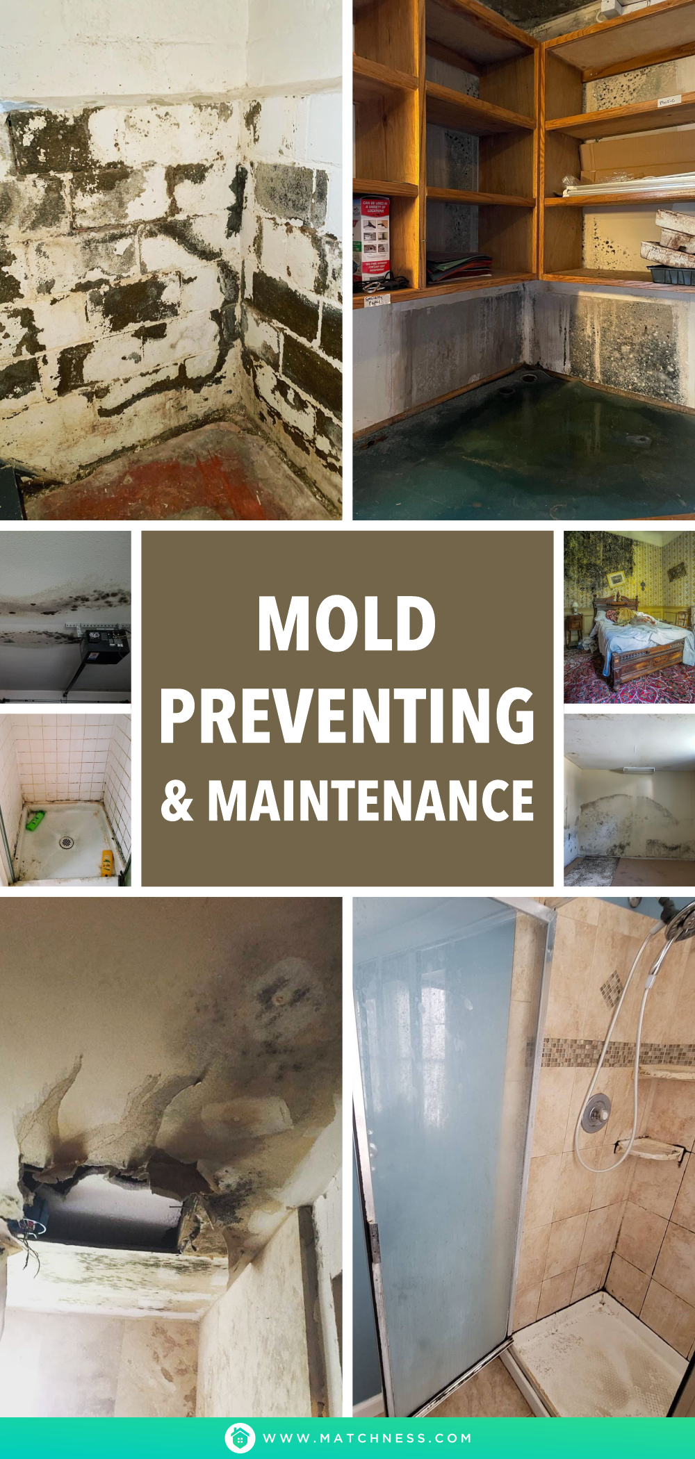Mold preventing & maintenance1