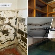 Mold preventing & maintenance2