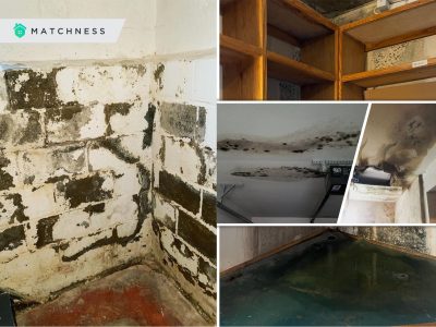 Mold preventing & maintenance2