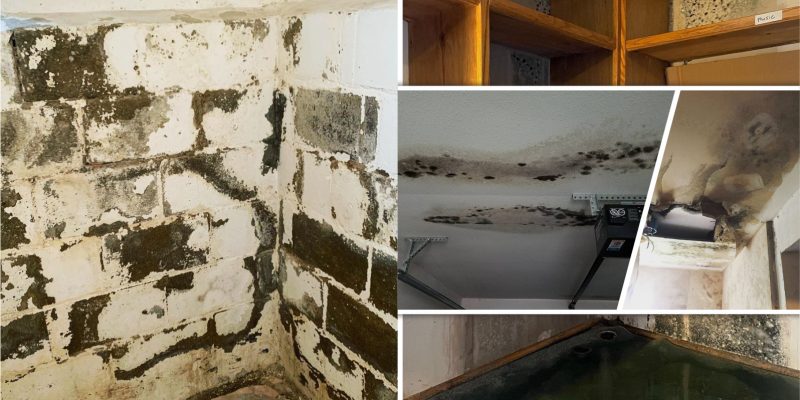 Mold preventing & maintenance2