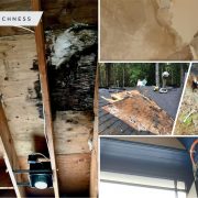 Signs of structural water damage you should wary2
