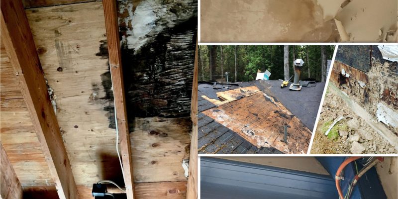 Signs of structural water damage you should wary2