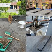 Waterproofing the roof steps to follow2