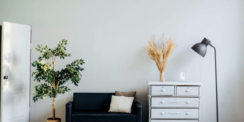 Alexandra-gorn-jiujvqe2zhg-unsplash (1)