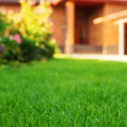 Mowed green frontyard grass before residential suburban house summer sunny day