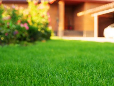 Mowed green frontyard grass before residential suburban house summer sunny day