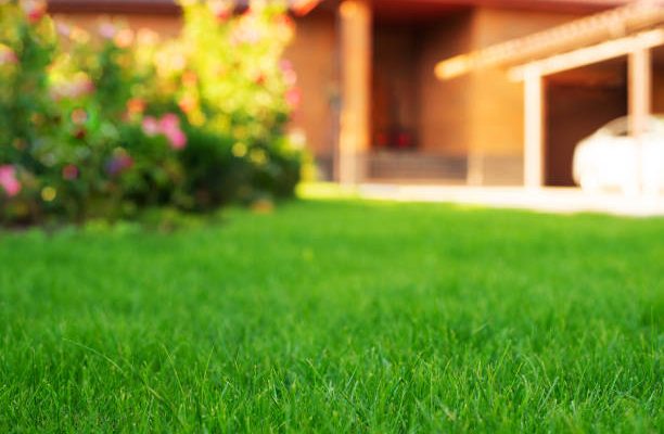 Mowed green frontyard grass before residential suburban house summer sunny day