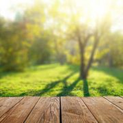 Wooden table and spring forest background