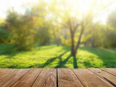 Wooden table and spring forest background