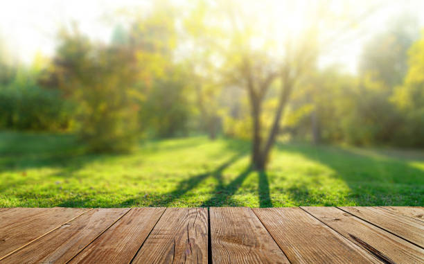 Wooden table and spring forest background
