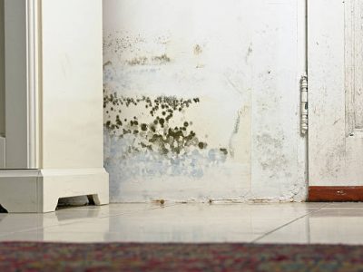 Istockphoto-157696079-612x612