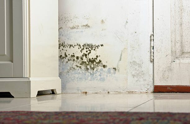 Istockphoto-157696079-612x612
