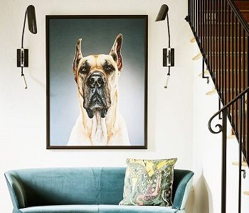 Top 5 Unique Entryway That Will Surprise You