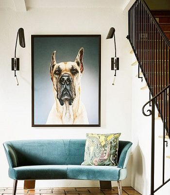 Top 5 Unique Entryway That Will Surprise You