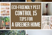 Eco-friendly pest control 15 tips for a greener home1
