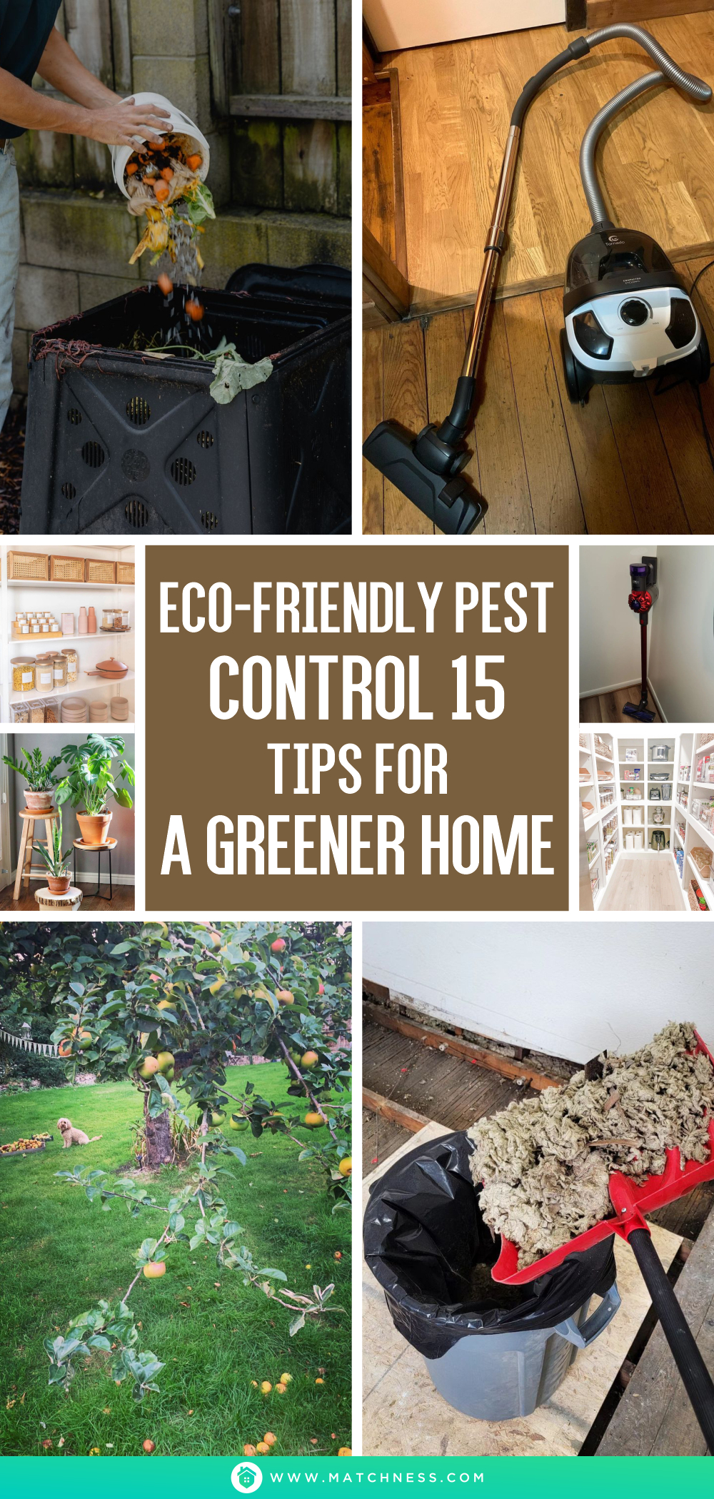 Eco-friendly pest control 15 tips for a greener home1
