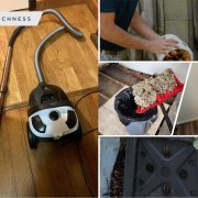 Eco-friendly pest control 15 tips for a greener home2