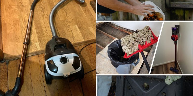 Eco-friendly pest control 15 tips for a greener home2