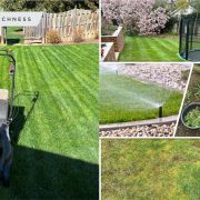 Guides for lawn maintenance you should follow2